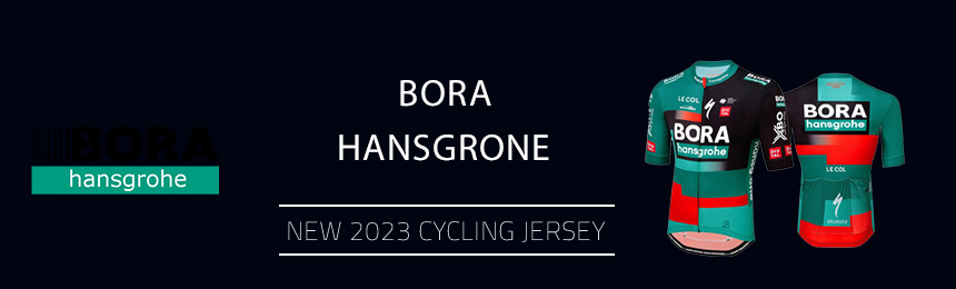 Bora-Hansgrone