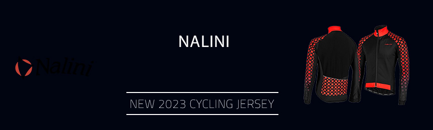 Nalini